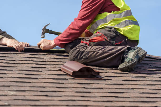 Best Residential Roofing Contractor  in Savanna, IL