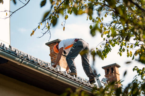 Best Roof Gutter Cleaning  in Savanna, IL